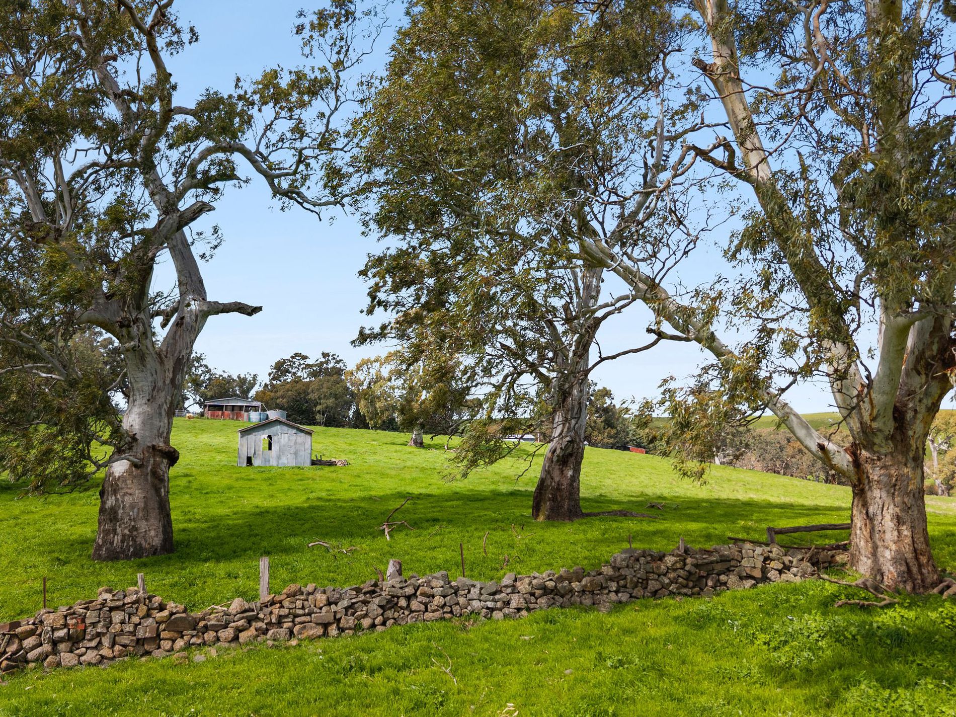 1469 Kyneton-Redesdale Road, Barfold