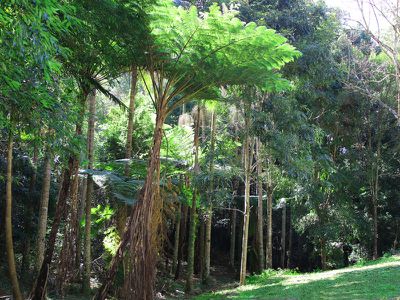 7 High Street, Nimbin