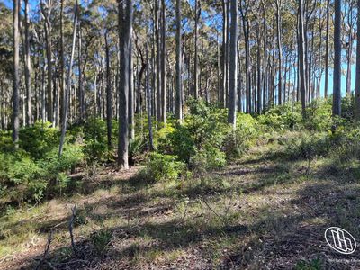 Lot 16, Mystery Bay Road, Mystery Bay