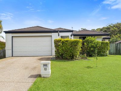 12 Homestead Drive, Tewantin