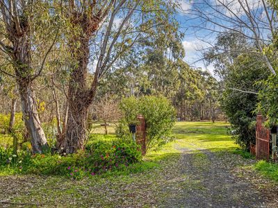 128 Dealba Road, Mount Camel