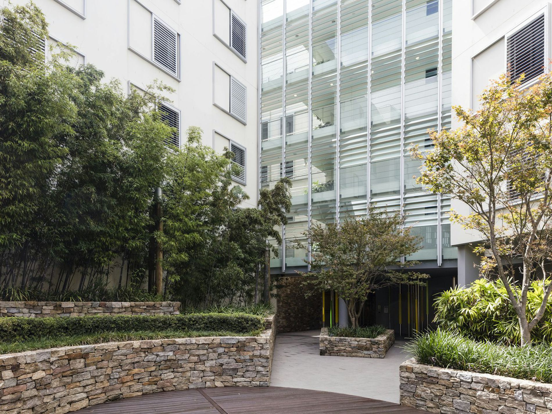 313 / 50 McLachlan Avenue, Rushcutters Bay