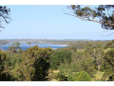 L14 Stringybark Place, Millingandi