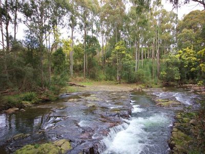 15 Wattle Hill Road, Mountain River