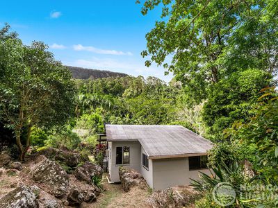 807 Left Bank Road, Mullumbimby Creek