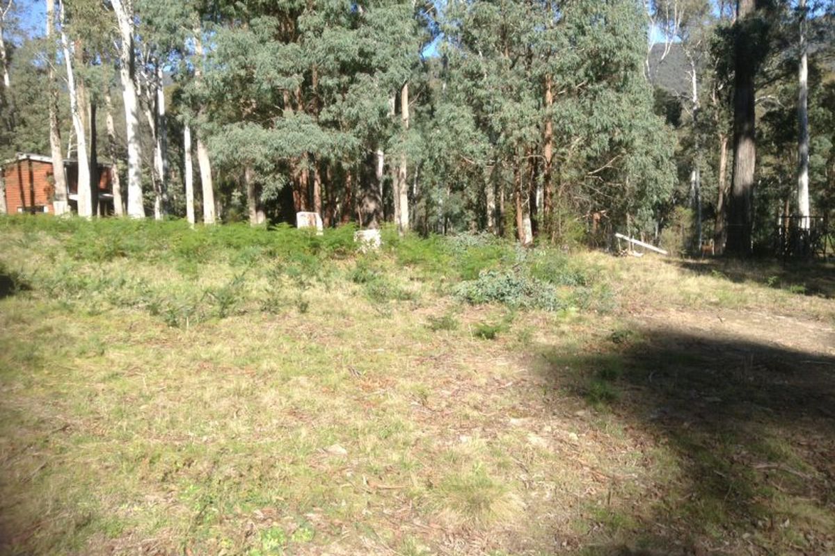 35 Christensen Street, Sawmill Settlement