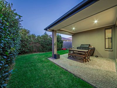 58 Higgs Cct, Wynnum West