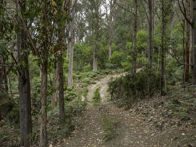 Lot 2, Fyfes Road, Mountain River