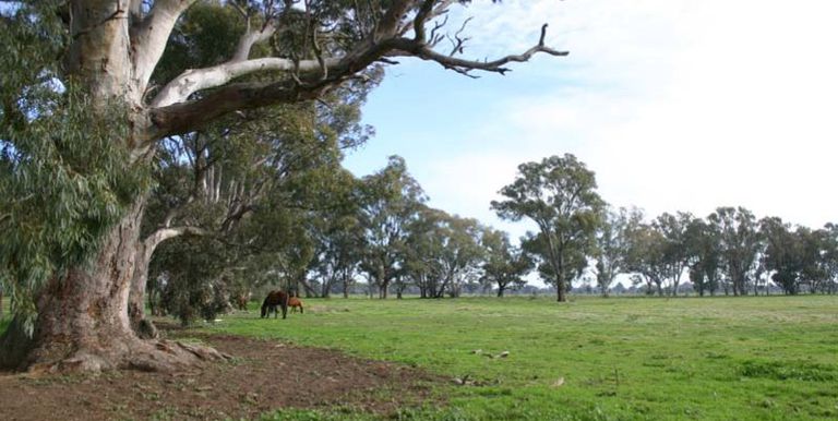53 Lydiards Road, Euroa