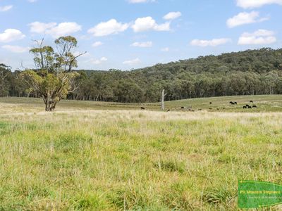 4616 Trunkey Road, Arkell