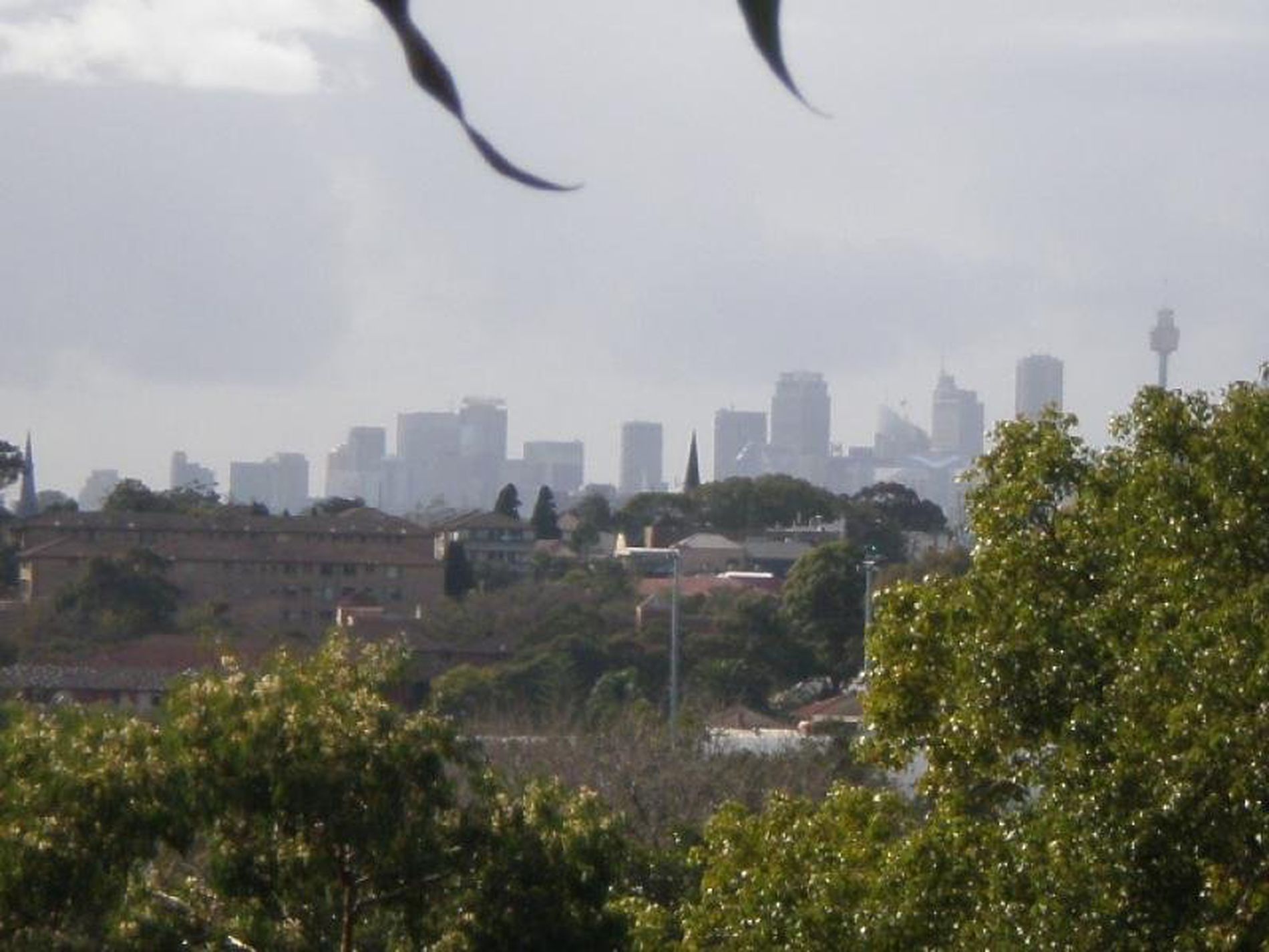 48 Homer STREET, Earlwood