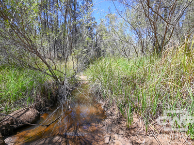 Lot 11, Old Stannifer Road, Gilgai