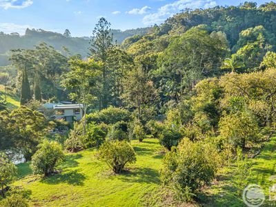 45 Geles Road, Upper Burringbar