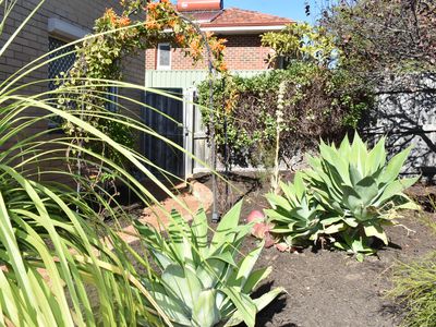 1/186 Albert Street, Osborne Park Dc