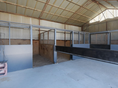 263 Horsham-Noradjuha Road, Lower Norton