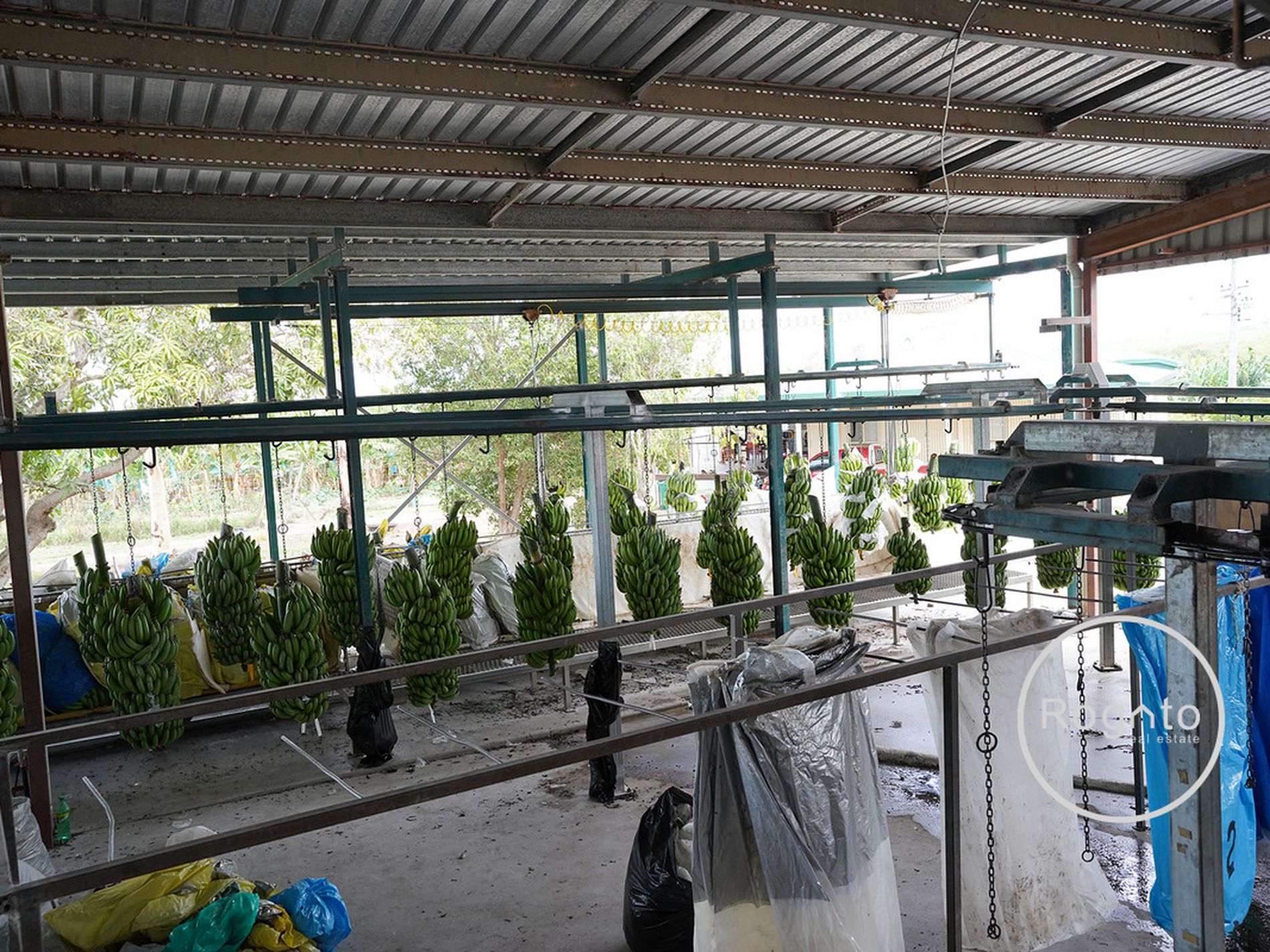 387 Fassio Road, Mareeba