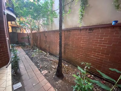 G11 / 199 Pyrmont Street , Pyrmont