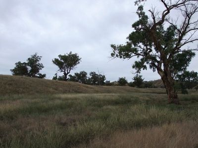 Lot 11 Halls Creek Road, Manilla