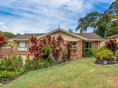 3 Lorikeet Court, Tingira Heights