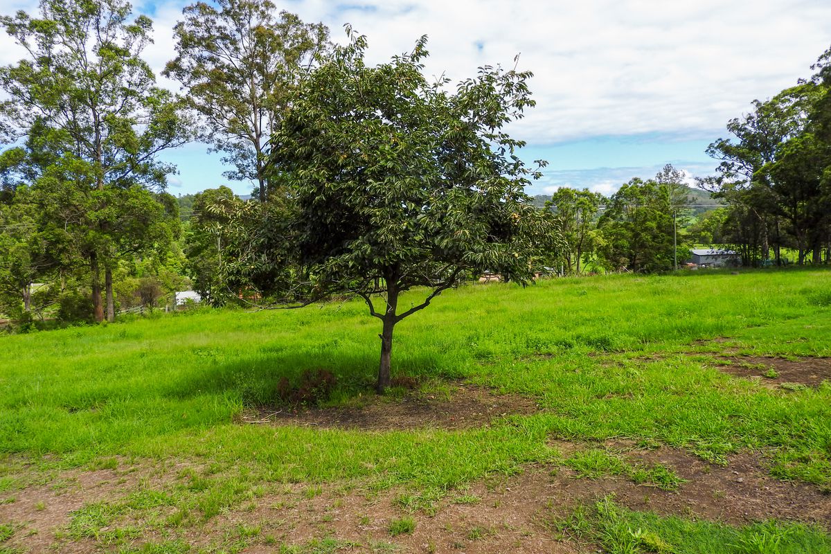 250 Gloucester Road, BURRELL CREEK VIA, Wingham