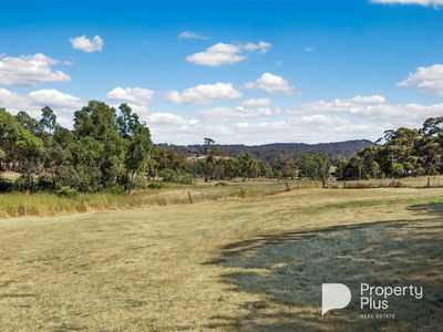 40 Peelers Road, Harcourt