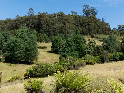 Lot 1, Dulcia Road, Gordon