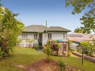 44 Selborne Street, Mount Gravatt East