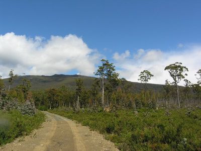 Ransley Road, Ellendale
