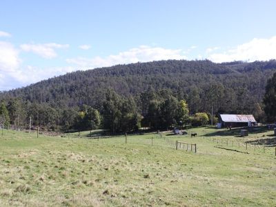 282 Judds Creek Road, Judbury