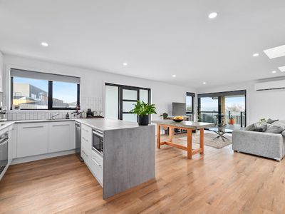 1 / 1 Sherpa Court, St Leonards