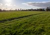 96 Curtis Road, Wonwondah