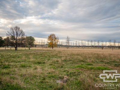 340 Furracabad Road, Glen Innes
