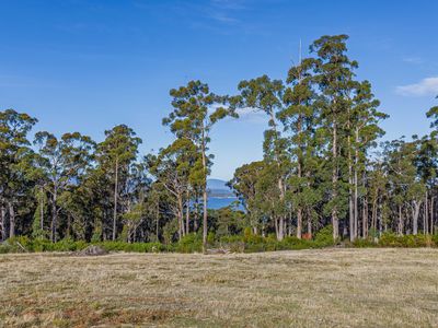 Lot 2, Klynes Road, Lymington