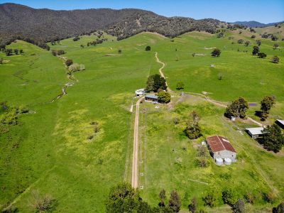 38 Howqua River Road, Piries