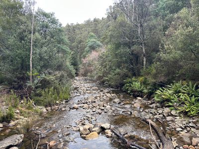 711 Judds Creek Road, Judbury