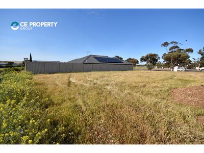 45 North Terrace, Mannum