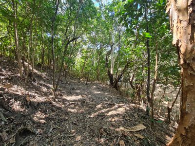 18 Flinders Street, Cooktown