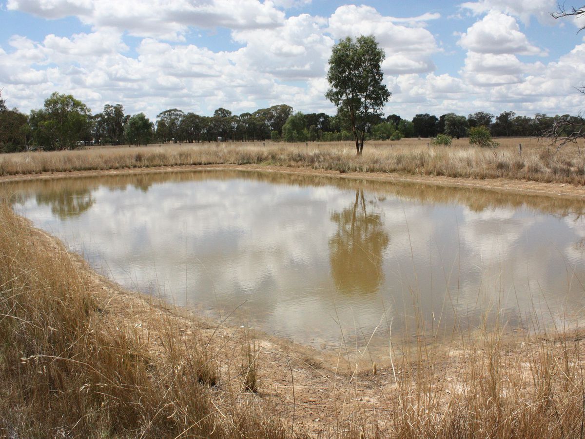 77 Winton-Lurg Road, Winton