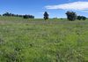 117 HILLSIDE LANE, Daroobalgie