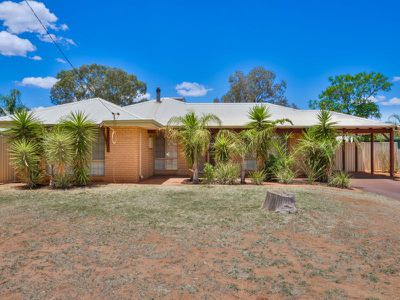 6 Reed Court, Hannans