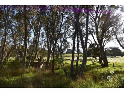 Lot 776 Hearls Road, Flaxman Valley