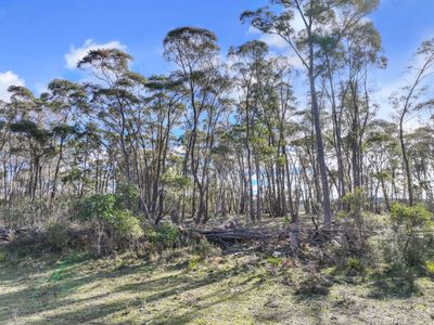 Lot 193 / 443 Back Creek Road, Mongarlowe