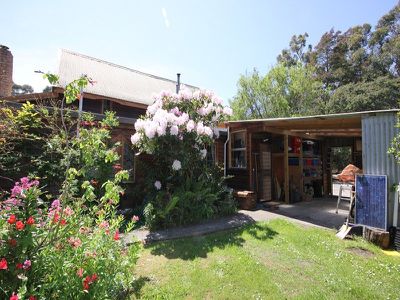 Randalls Bay