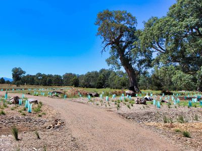 Lot 2 Stockmans Rise, Mansfield