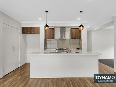 36 Somerton Avenue, Donnybrook