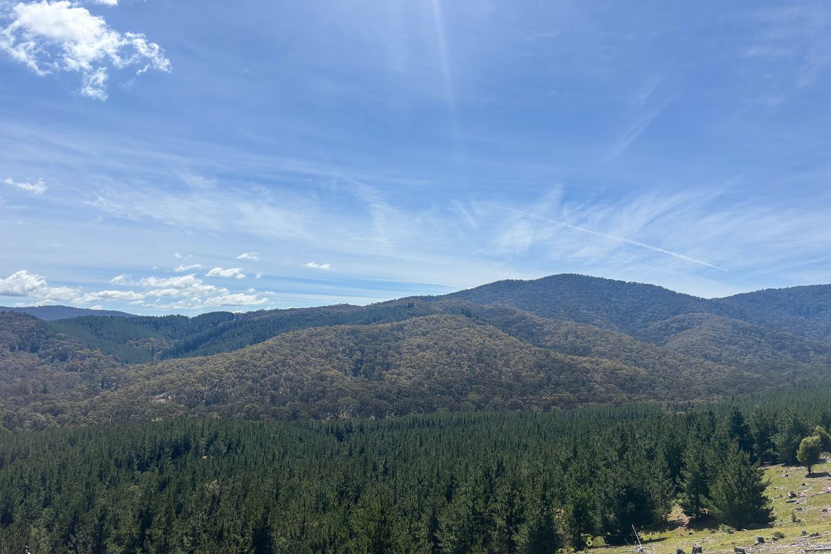 259 Hells Hole Creek Road, Bonnie Doon