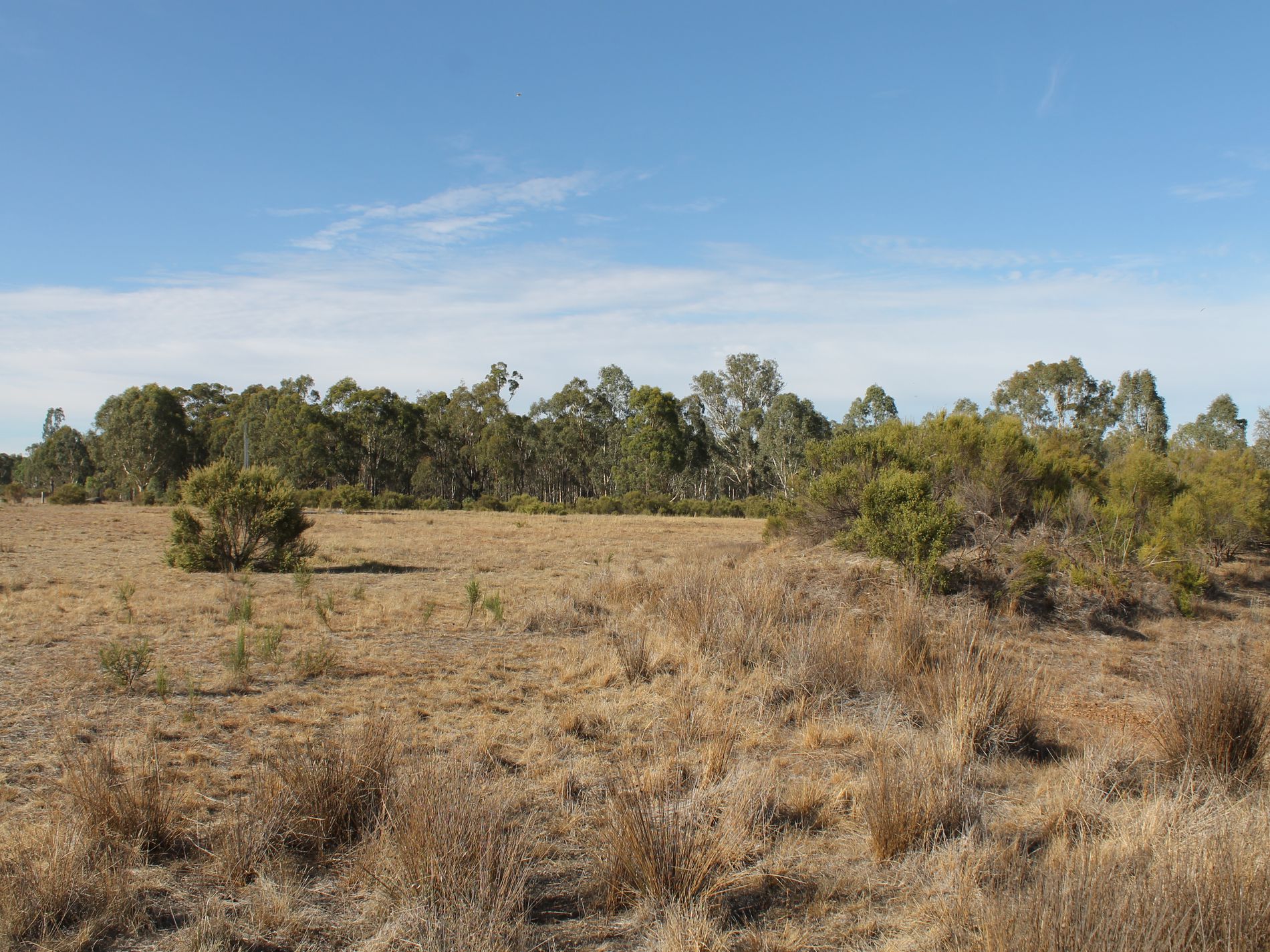 Lot 5, Davis Road, Mount Camel