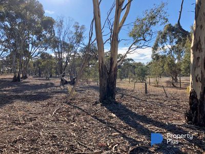 1 Bendigo-Maryborough Road, Shelbourne