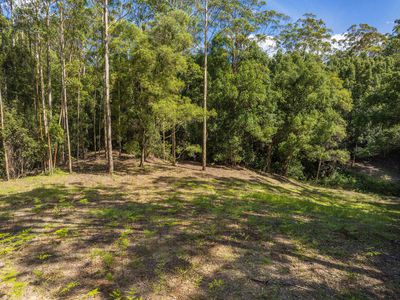 80 Robb Road, Lillian Rock