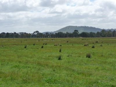 Cheesleys Road, Indigo Valley